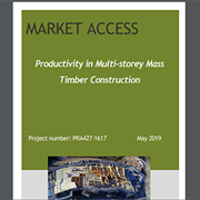 Cover image of Productivity in Multi-storey Mass Timber Construction