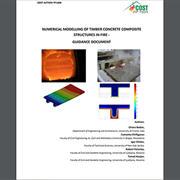 Numerical Modelling of Timber Concrete Composite Structures in Fire - Guidance Document