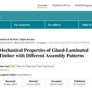 Mechanical Properties of Glued-Laminated Timber with Different Assembly Patterns