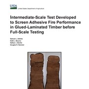 Intermediate-scale test developed to screen adhesive fire performance in glued-laminated timber before full-scale testing