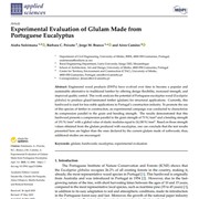 Experimental Evaluation of Glulam Made from Portuguese Eucalyptus
