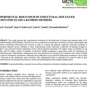 Experimental Behaviour of Structural Size Glued Laminated Guadua Bamboo Members