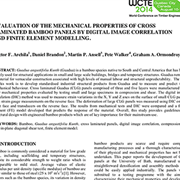 Cover image of Evaluation of the Mechanical Properties of Cross Laminated Bamboo Panels by Digital Image Correlation and Finite Element Modelling